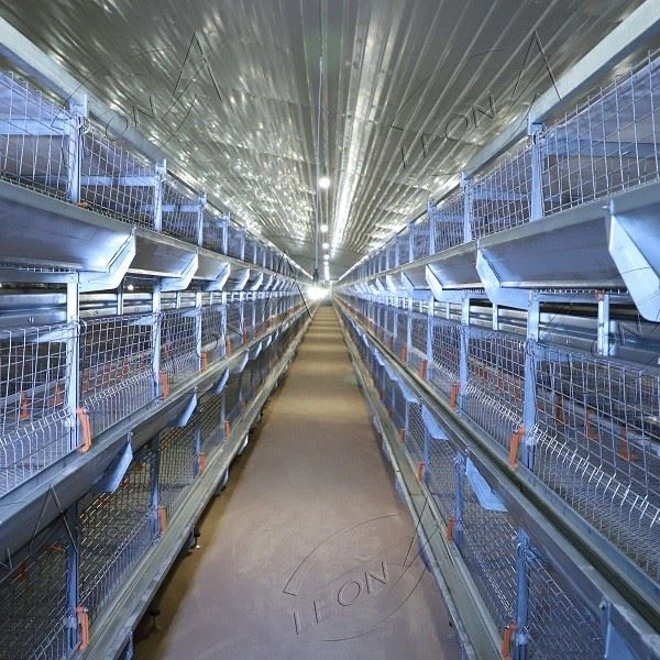 H Type Broiler Battery Chicken Cages Poultry Farm