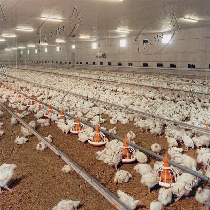 Broiler farm Broiler farm
