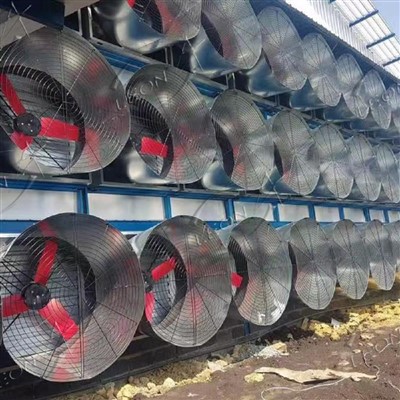 Серія MT Chicken House Вентилятор